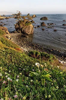Sea Stack Prints: Sea stacks at sunset in Crescent City, California, USA