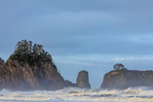 Images Dated 15th April 2018: Sea stacks and waves at first light on Rialto Beach in Olympic National Park
