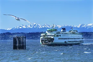 Seagull and Washington State Ferry, Olympic Mountains, Edmonds, Washington State