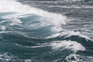 Curl Prints: Seascape