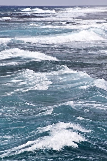 Images Dated 15th March 2009: Seascape