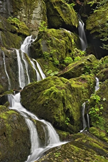 Images Dated 1st May 2005: Seasonal cascade, Place of a Thousand Drips, Great Smoky Mountains National Park