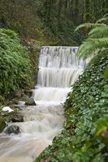 Seasonal creek on outskirts of Portland, Oregon, USA