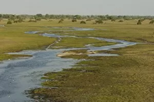 Seasonal flood moving through the floodplain. Okavango Delta, BOTSWANA. Southern Africa