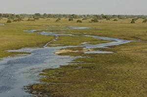 Images Dated 15th October 2005: Seasonal flood moving through the floodplain. Okavango Delta, BOTSWANA. Southern Africa