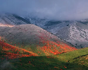 Three seasons of foliage, red maples and fall snowstorm near Midway, Utah