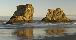 Images Dated 9th May 2011: Seastacks on the beach at Bandon, Oregon
