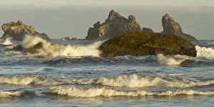 Images Dated 9th May 2011: Seastacks on the beach at Bandon, Oregon