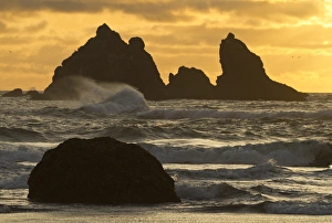 Images Dated 9th May 2011: Seastacks on the beach at Bandon, Oregon