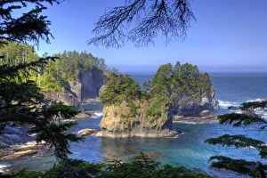 Tribal Land Prints: Seastacks, Makah Nation Tribal Lands, Cape Flattery, Washington, USA