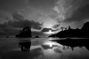 Land Prints: Second Beach, Olympic National Park, Washington, USA