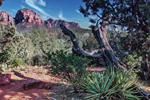 Sedona Prints: Sedona Arizona area