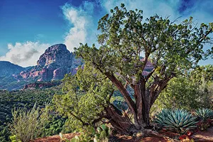 Sedona Prints: Sedona Arizona area
