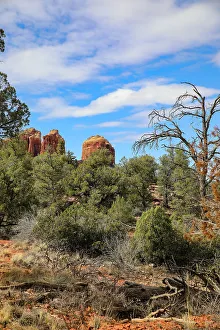 Images Dated 27th May 2022: Sedona, Arizona, USA. Cathedral Rock, red rock formations
