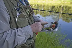 Fly Fishing Prints: Selecting flies for fly fishing in the North Fork of the Coeur d Alene River near