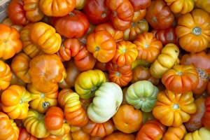 Burma Prints: Selling tomatoes at the market, Mandalay, Myanmar