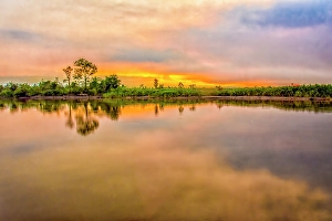 Murray Mccallum Prints: Sepik River, Papua New Guinea