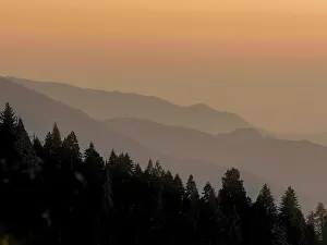 Rob Sheppard Prints: Sequoia National Park, California
