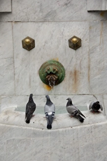 Pigeon Prints: Serbia, Belgrade. Knez Mihailova