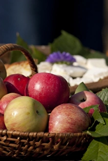 Serbia, Donji Milanovac. Port city along Danube River. Traditional Serbian snack with apples