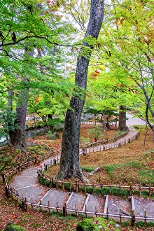 Path Prints: Serene walkway, Kenrokuen Garden, Kanazawa, Japan