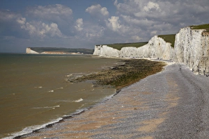 Images Dated 17th May 2010: Seven Sisters Chalk Cliffs, Birling Gap, East Sussex, England, United Kingdom