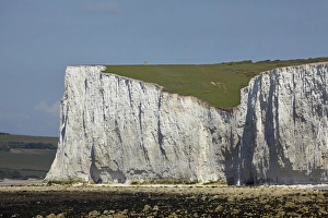 Images Dated 17th May 2010: Seven Sisters Chalk Cliffs, Birling Gap, East Sussex, England, United Kingdom