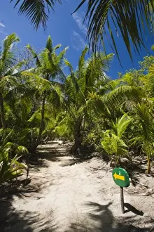 Curieuse Island Prints: Seychelles, Curieuse Island, marsh walk and way to number 2