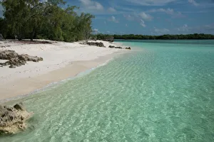 Africa Collection: Seychelles, Indian Ocean, Aldabra Island Group, Aldabra Atoll, Picard Island