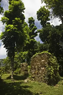 Images Dated 22nd October 2008: Seychelles, Mahe Island, Morne Seychellois National Park, ruins of colonial mission