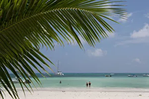Select Focus Prints: Seychelles, Praslin. Cote D Or, one of the most beautiful beaches on the island