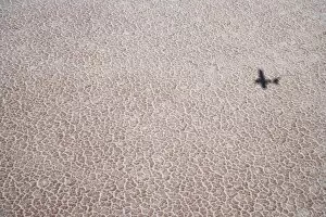 Images Dated 11th September 2006: Shadow of Plane on Lake Eyre Salt Lake (15m below sea level), Lake Eyre National Park