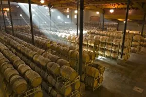 Images Dated 27th April 2007: Shafts of light in barrel room of Montevina Winery, near Plymouth, Shenandoah Valley