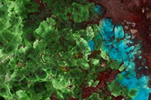 Multi Colored Prints: Shattuckite