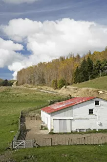 Images Dated 26th April 2007: Shearing Shed near Mataroa, Rangitikei District Central North Island, New Zealand