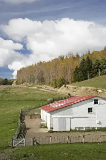 Central North Island Prints: Shearing Shed near Mataroa, Rangitikei District Central North Island, New Zealand