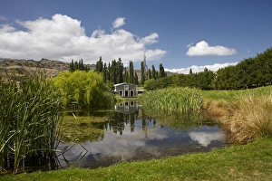 Winery Prints: The Shed and pond, Northburn Vineyard, Central Otago, South Island, New Zealand