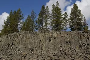 Sheepeater Cliff basalt columns. Yellowstone National Park. Wyoming. USA