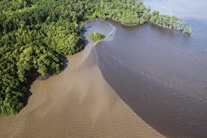 Shell Beach North GUYANA South America