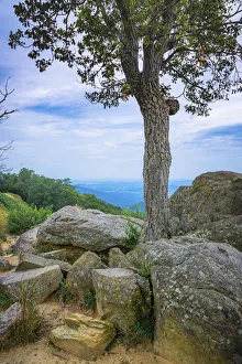 Great Smoky Mountain Prints: Shenandoah vista, Blue Ridge Parkway, Smoky Mountains, USA
