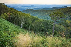 Images Dated 5th August 2021: Shenandoah vista, Blue Ridge Parkway, Smoky Mountains, USA