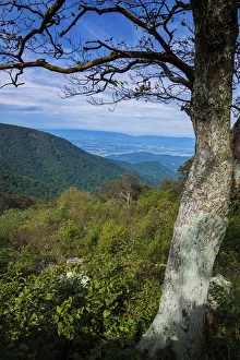Images Dated 5th August 2021: Shenandoah vista, Blue Ridge Parkway, Smoky Mountains, USA