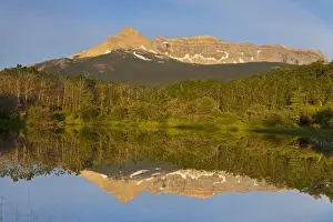 Images Dated 10th July 2011: Sherburne Peak and Yellow Mountain reflect into aspen lined pond on the Blackfeet