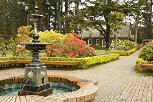 Michele Westmorland Prints: Shore Acres Botanical Gardens near Coos Bay Oregon