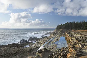 Viewpoint Prints: Shore Acres State Park, Oregon