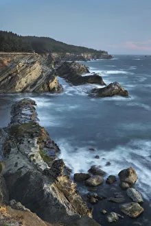 Images Dated 8th February 2022: Shore Acres State Park, Oregon