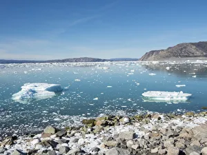 Greenland Prints: Shoreline littered with icebergs from Eqip Glacier in Greenland, Danish Territory