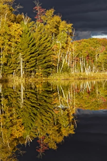 Shoreline of Red Jack Lake at sunrise, Hiawatha National Forest, Upper Peninsula