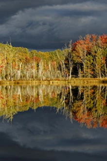 Michigan Prints: Shoreline of Red Jack Lake at sunrise, Hiawatha National Forest, Upper Peninsula