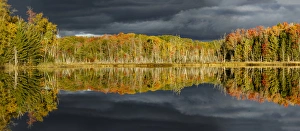 Shoreline of Red Jack Lake at sunrise, Hiawatha National Forest, Upper Peninsula